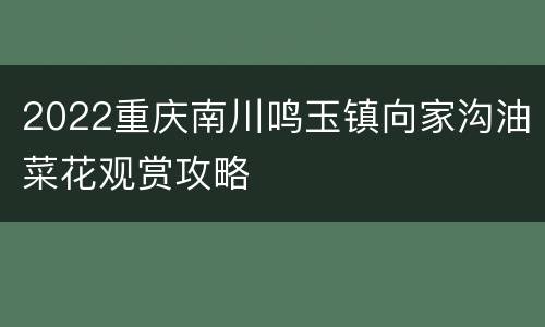 2022重庆南川鸣玉镇向家沟油菜花观赏攻略