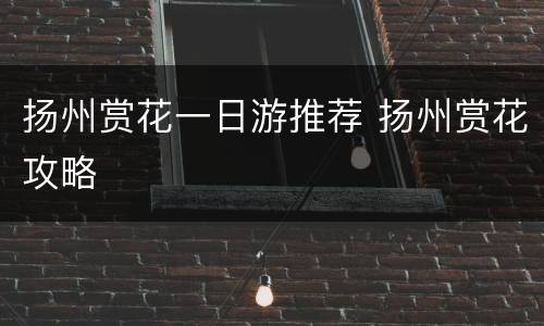 扬州赏花一日游推荐 扬州赏花攻略