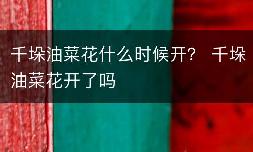 千垛油菜花什么时候开？ 千垛油菜花开了吗