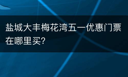 盐城大丰梅花湾五一优惠门票在哪里买？