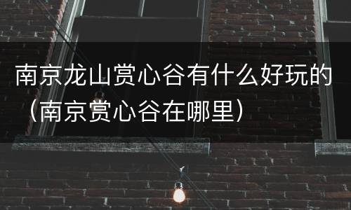 南京龙山赏心谷有什么好玩的（南京赏心谷在哪里）