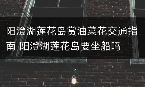 阳澄湖莲花岛赏油菜花交通指南 阳澄湖莲花岛要坐船吗