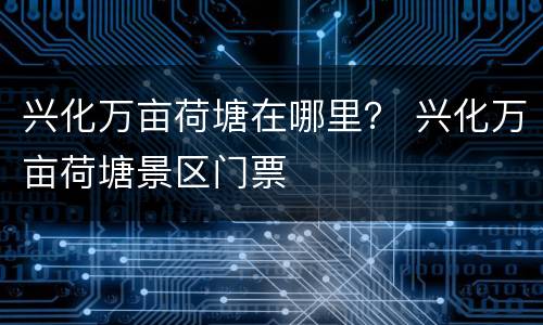 兴化万亩荷塘在哪里？ 兴化万亩荷塘景区门票