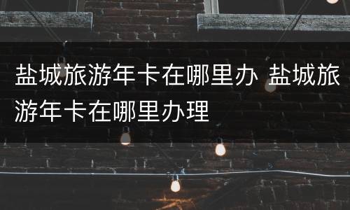 盐城旅游年卡在哪里办 盐城旅游年卡在哪里办理