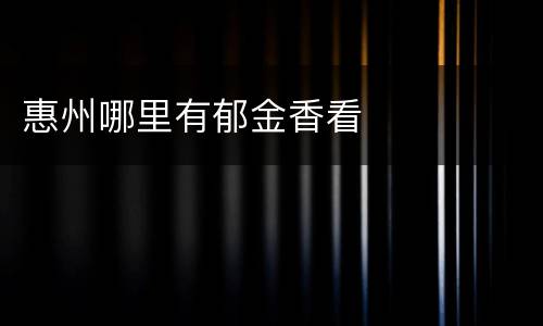惠州哪里有郁金香看