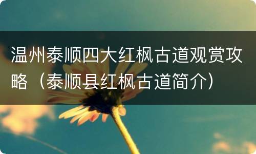 温州泰顺四大红枫古道观赏攻略（泰顺县红枫古道简介）