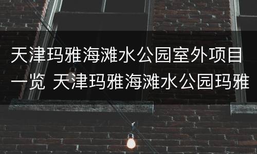 天津玛雅海滩水公园室外项目一览 天津玛雅海滩水公园玛雅海滩