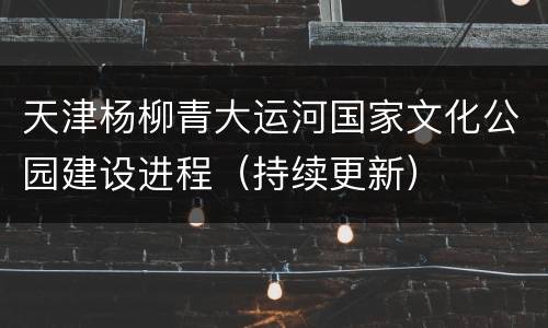 天津杨柳青大运河国家文化公园建设进程（持续更新）