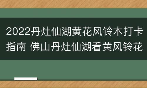 2022丹灶仙湖黄花风铃木打卡指南 佛山丹灶仙湖看黄风铃花