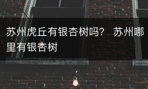 苏州虎丘有银杏树吗？ 苏州哪里有银杏树