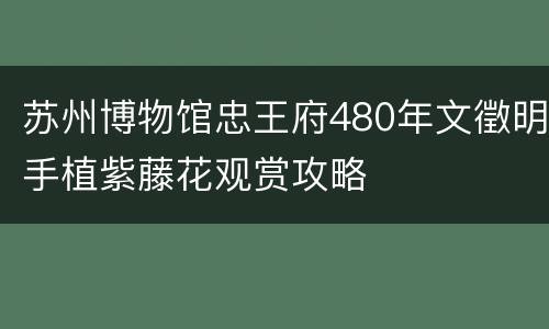 苏州博物馆忠王府480年文徵明手植紫藤花观赏攻略