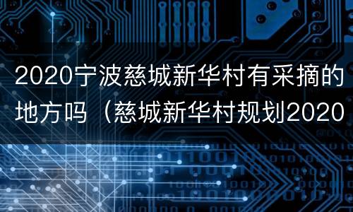 2020宁波慈城新华村有采摘的地方吗（慈城新华村规划2020）