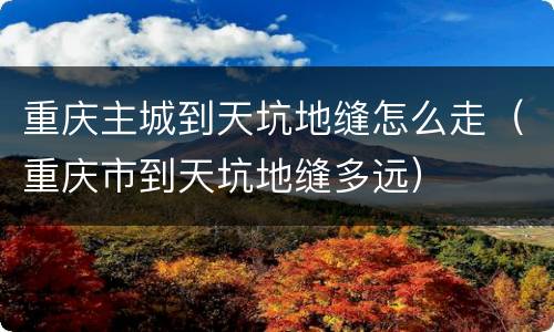 重庆主城到天坑地缝怎么走（重庆市到天坑地缝多远）