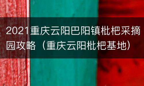 2021重庆云阳巴阳镇枇杷采摘园攻略（重庆云阳枇杷基地）