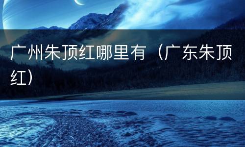 广州朱顶红哪里有（广东朱顶红）