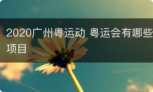 2020广州粤运动 粤运会有哪些项目