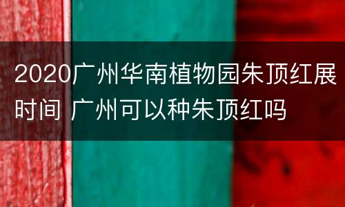 2020广州华南植物园朱顶红展时间 广州可以种朱顶红吗