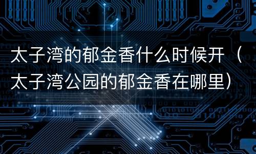 太子湾的郁金香什么时候开（太子湾公园的郁金香在哪里）