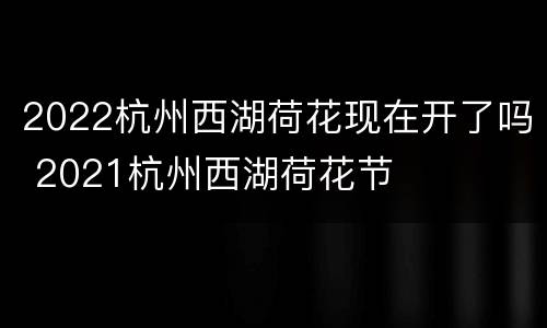 2022杭州西湖荷花现在开了吗 2021杭州西湖荷花节