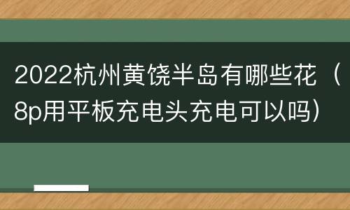 2022杭州黄饶半岛有哪些花（8p用平板充电头充电可以吗）