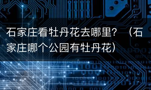 石家庄看牡丹花去哪里？（石家庄哪个公园有牡丹花）
