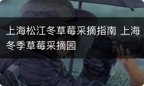 上海松江冬草莓采摘指南 上海冬季草莓采摘园