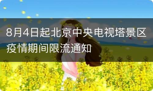 8月4日起北京中央电视塔景区疫情期间限流通知