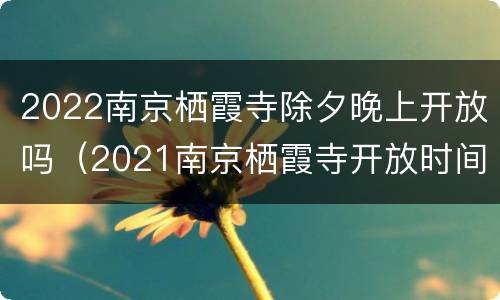 2022南京栖霞寺除夕晚上开放吗（2021南京栖霞寺开放时间）