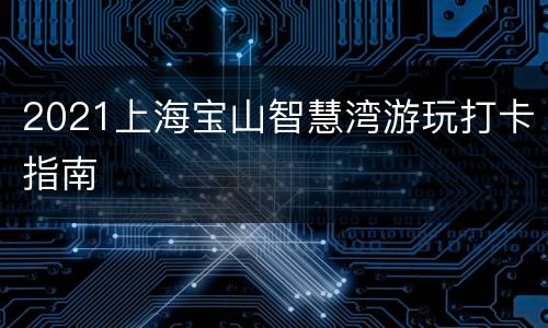 2021上海宝山智慧湾游玩打卡指南