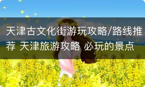 天津古文化街游玩攻略/路线推荐 天津旅游攻略 必玩的景点天津古文化街