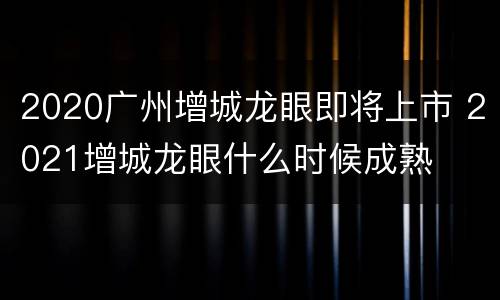 2020广州增城龙眼即将上市 2021增城龙眼什么时候成熟