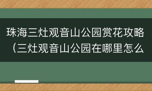 珠海三灶观音山公园赏花攻略（三灶观音山公园在哪里怎么坐车）