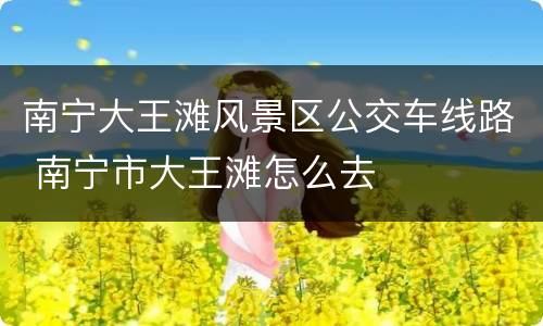 南宁大王滩风景区公交车线路 南宁市大王滩怎么去