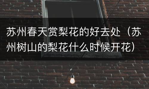 苏州春天赏梨花的好去处（苏州树山的梨花什么时候开花）
