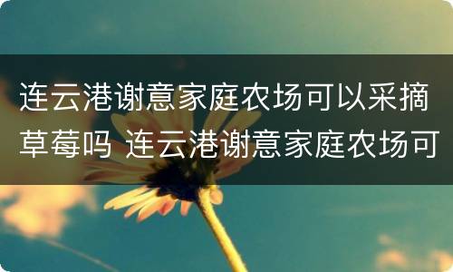 连云港谢意家庭农场可以采摘草莓吗 连云港谢意家庭农场可以采摘草莓吗视频