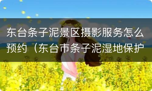 东台条子泥景区摄影服务怎么预约（东台市条子泥湿地保护区）