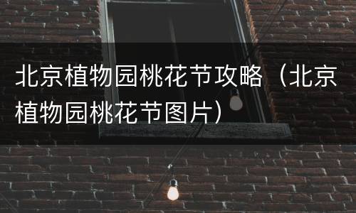 北京植物园桃花节攻略（北京植物园桃花节图片）