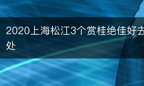 2020上海松江3个赏桂绝佳好去处