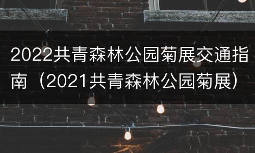 2022共青森林公园菊展交通指南（2021共青森林公园菊展）