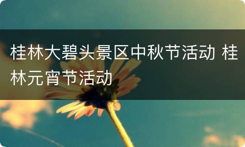 桂林大碧头景区中秋节活动 桂林元宵节活动