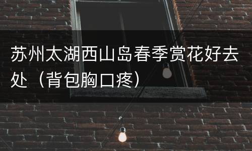 苏州太湖西山岛春季赏花好去处（背包胸口疼）