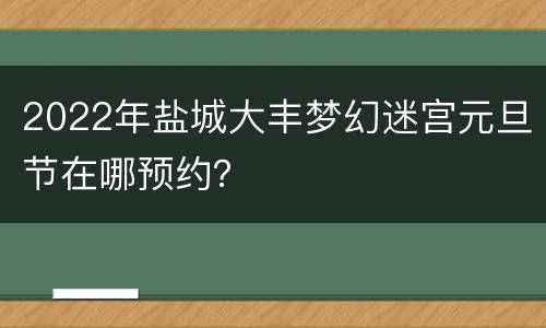 2022年盐城大丰梦幻迷宫元旦节在哪预约？