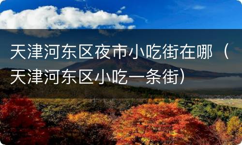 天津河东区夜市小吃街在哪（天津河东区小吃一条街）