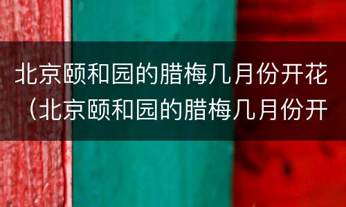 北京颐和园的腊梅几月份开花（北京颐和园的腊梅几月份开花的）