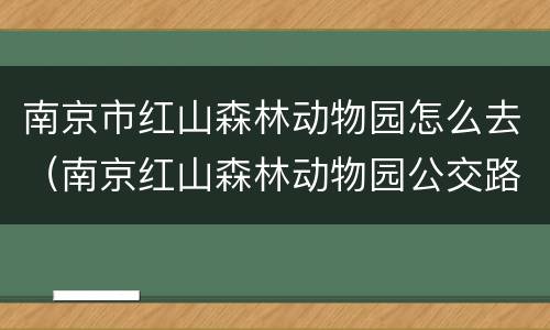 南京市红山森林动物园怎么去（南京红山森林动物园公交路线）
