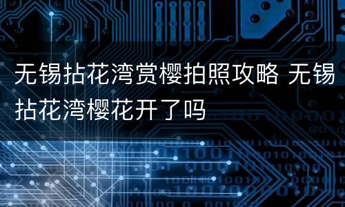 无锡拈花湾赏樱拍照攻略 无锡拈花湾樱花开了吗