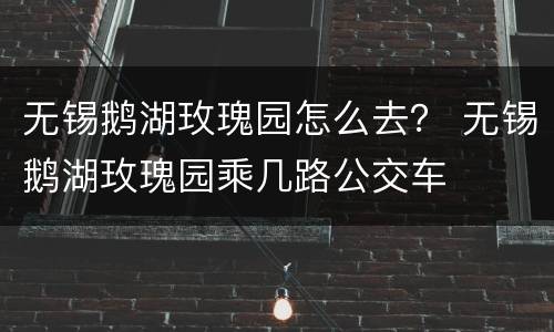 无锡鹅湖玫瑰园怎么去？ 无锡鹅湖玫瑰园乘几路公交车