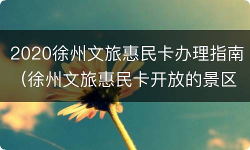 2020徐州文旅惠民卡办理指南（徐州文旅惠民卡开放的景区）
