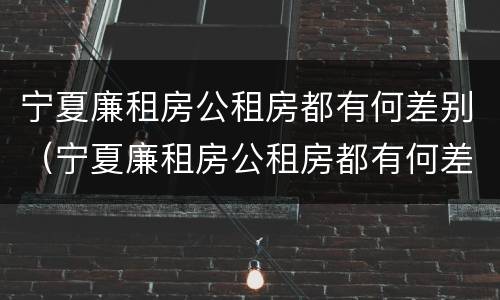 宁夏廉租房公租房都有何差别（宁夏廉租房公租房都有何差别呢）