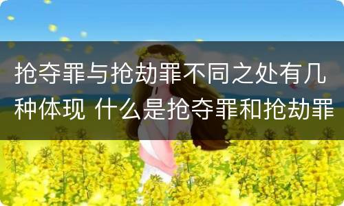 抢夺罪与抢劫罪不同之处有几种体现 什么是抢夺罪和抢劫罪